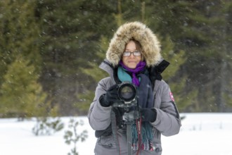 Photographer Veronique Amiard photographs the forest landscape in winter, light snowfall, Gaspesie