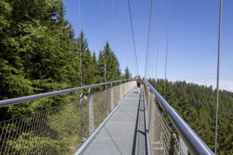 Wildline Bad Wildbad: The pedestrian suspension bridge is 380 metres long and 60 metres high. It