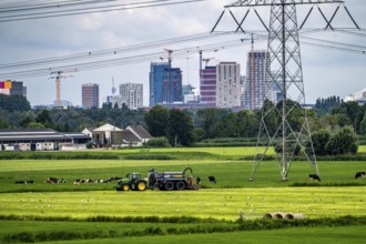 The skyline of the business district in the south-east of Amsterdam, office tower blocks, green