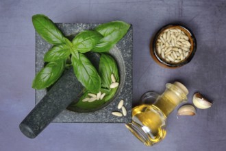 Ingredients for basil pesto, pesto alla genovese