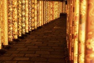 Kimono forest, illuminated, art, Ukyo-ku, Kyoto, Kyoto Prefecture, Japan