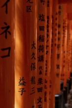 Inscriptions on columns of torii arches, Fushimi-ku, Kyoto, Kyoto Prefecture, Japan