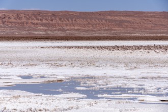 Coloured salt formations at the Lagunas Escondidas de Baltinache, Atacama Desert, Toconao, San