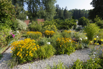 Herb garden near the stud farm museum and the Lauterquelle spring, various plants, perennials,
