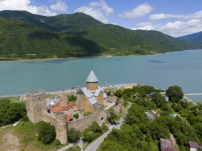 Medieval castle on a lake with surrounding mountains and wooded landscape, aerial view, Ananuri