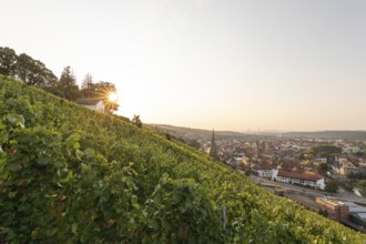Sunrise over the vineyards of Esslingen am Neckar