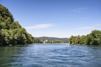 View over the Rhine, High Rhine surrounded by forests, Canton Thurgau, Switzerland