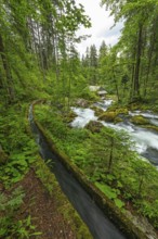 Golling watermill from above at the waterfall with the water pipe. Traditional mill in an alpine