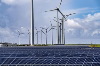 Vopak Solarpark Eemshaven, 19 hectares of solar modules with a capacity of 25 megawatts, around the