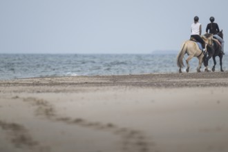 Two riders on the beach, near Hvide Sande, North Sea, Denmark
