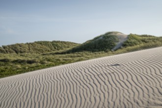 Dunes with beach grass, wave pattern in the sand, blue sky, Hvide Sande, North Sea, Denmark