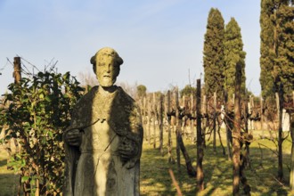 Weathered stone statue in the vineyard, Torcello Island, Venice Lagoon, Veneto, Italy