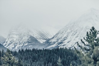 Winter road trip on the Icefields Parkway with lots of snow and ice, Banff National Park, Jasper