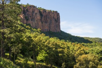 Gorge with red rocks, Gorges du Blavet, Bagnols-en-Forêt, near Saint-Raphaël, Massif de l'Esterel,