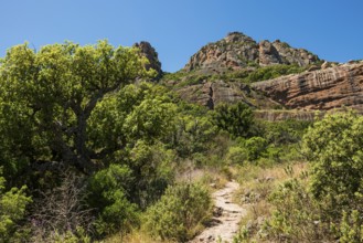 Rocher du roquebrune, Roquebrune-sur-Argens, near Saint-Raphaël, Massif de l'Esterel, Esterel