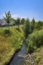 Recklinghausen, North Rhine-Westphalia, Germany - Renaturalised Hellbach, renaturalised