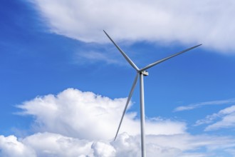 Strekdammen Wind Farm, wind farm at the seaport of Eemshaven in the Netherlands, built on offshore