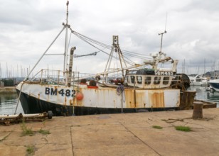 FV Mary Anne BM482 fishing vessel boat in harbour, Torquay, Devon, England, UK