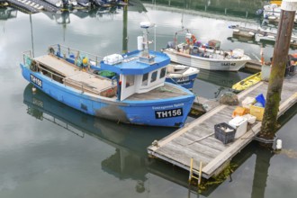 Fishing boats at moorings in harbour, Torquay, Devon, England, UK TH156 'Courageous Spirit'