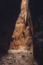 Bungle Bungles in Australia in the Outback, Australia