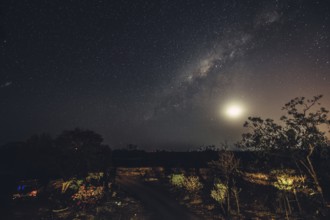 Milky Way with starry sky in the Australian outback, Australia