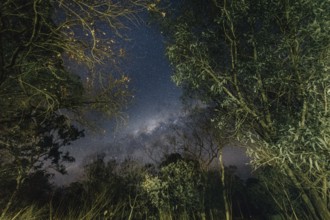 Milky Way Australian Outback, Australia