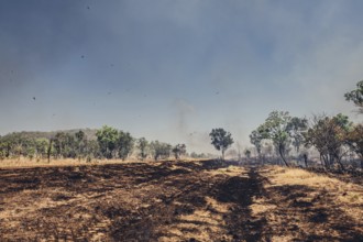 Bushfires in the Australian outback