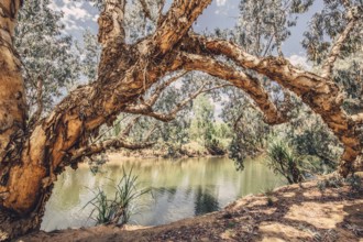 River and other waters in the outback in the north of Australia
