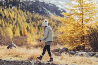 Woman in winter clothes in autumn Engadine with golden trees in Switzerland