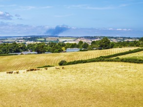 DefaultFarms and Fields over Torquay from a drone, Devon, England, United Kingdom