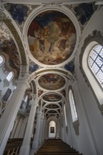 Side wing with dome paintings in St Martin's Church, Biberach an der Riß, Baden-Württemberg,