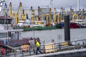 Fishing boats in Beatrixhaven, the seaport of Eemshaven, industrial harbour, at the quay,