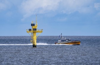 Pilot boat, Milo, pilot boat, brings sea pilots, ship pilots, to the ships to ensure safe entry and