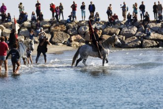 Guardians of the Camargue, traditional shepherds riding through water, rider on Camargue horse,