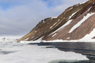 Drift ice, sea ice, sea, mountain range, Faksevagen, Spitsbergen, Svalbard