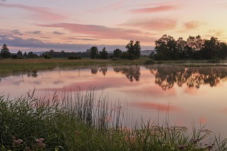 Morning atmosphere at a pond in the Schoren nature reserve, Mühlau, Freiamt, Canton Aargau,