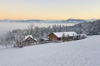 Farm in a freshly snow-covered landscape, behind the Alps with Rigi, Horben, Freiamt, Canton