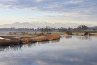 Nature reserve Stille Reuss, behind the Rigi, Rottenschwil, Reusstal, Freiamt, Canton Aargau,