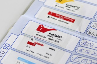 Germany - August 2nd 2025: Rabies vaccination proof with Rabisin sticker in European dog passport