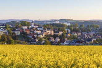 Village view with church and rape field in the morning, Grünhainichen, Erzgebirgskreis, Saxony,
