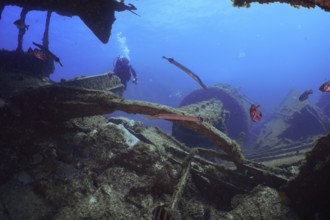 Diver exploring a shipwreck surrounded by fish in deep blue. Dive site Wreck of the Condesito, Las