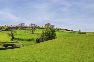 Farms in Lake District National Park, Cumbria, England, United Kingdom