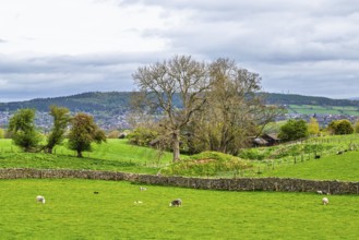 Farms, Pooley Bridge, Ullswater Lake, Lake District National Park, Cumbria, England, United Kingdom