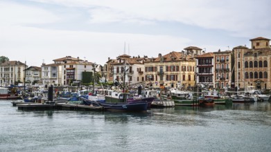 Marina in Saint-Jean-de-Luz, Nouvelle-Aquitaine, Pyrenees-Atlantiques, France