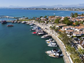 Harbour full of boats and yachts along a palm-lined promenade by the sea, aerial view, harbour,