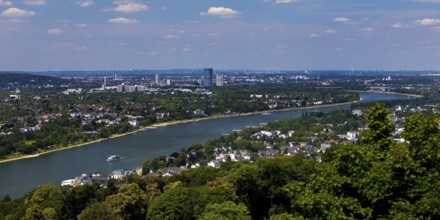 The Rhine with a view towards Bonn seen from the Drachenfels, Siebengebirge, Koenigswinter, North