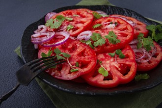 Freshly sliced tomatoes and red onions, garnished with herbs, on a black plate, summer salad, no