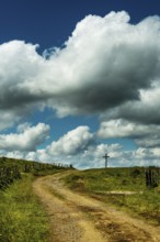 A winding dirt road leads the eye to a solitary cross. Cézallier, Auvergne Volcanoes Regional