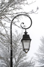 A decorative street lantern hangs from an ornate pole, surrounded by trees covered in frost.