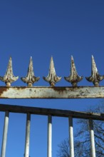 A weathered wrought iron fence stands tall under a bright blue sky. The fence has pointed spikes,